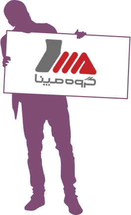 پروژه گروه مپنا - دیجی وایز سولوشن